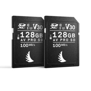 Angelbird - AV PRO SD V30 - 128 GB (2-Pack for Canon)