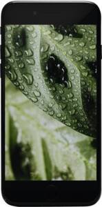 Refurbished Premium iPhone SE (2020) 64GB by #GOECO